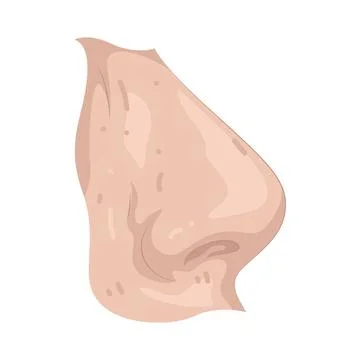 Illustration of human nose 스톡 일러스트