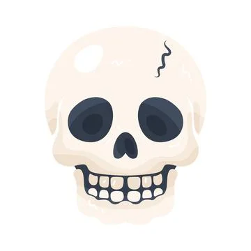 Illustration of human skull Stock-Illustration