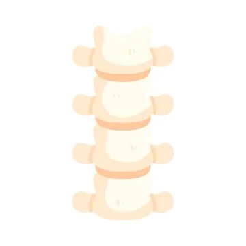 Illustration of human spinal column 스톡 일러스트