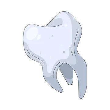 Illustration of human tooth 스톡 일러스트