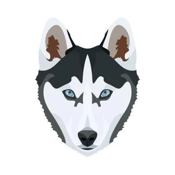 Illustration Husky. Illustrazione stock