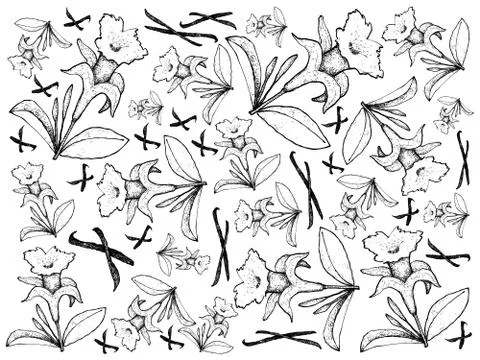 Illustration of Illustration Background Pattern of Hand Drawn Sketch Fragrant Illustrazione stock