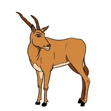 Illustration of Impala - Vector Illustration Stock Illustration