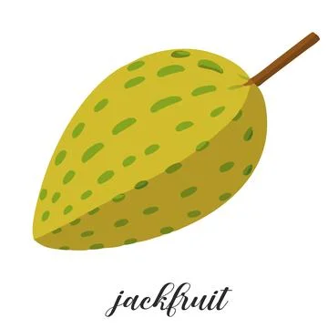 Illustration of jackfruit isolated on white background. Stock Illustration