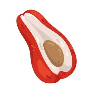 Illustration of Java Apple Stock Illustration