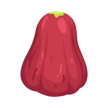 Illustration of Java Apple Ilustração Stock