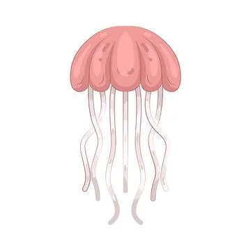 Illustration of jellyfish Illustration