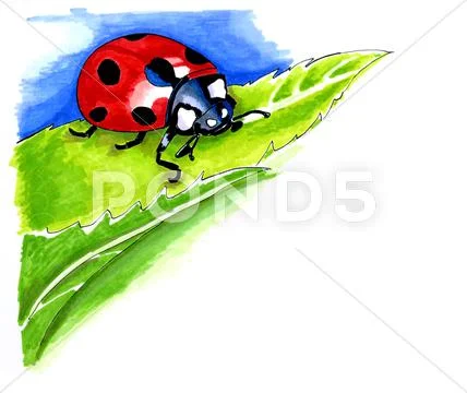 Illustration of lady bird Stock Illustration