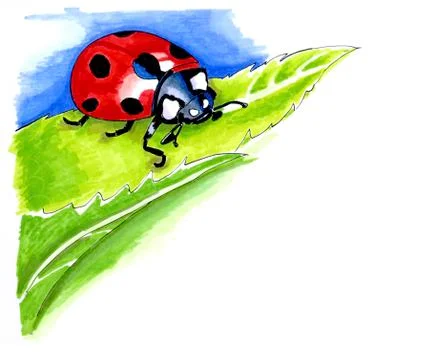 Illustration of lady bird Stock Illustration
