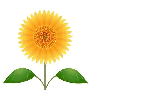 Illustration of a large sunflower 스톡 일러스트