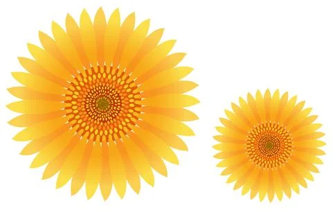 Illustration of a large sunflower 스톡 일러스트