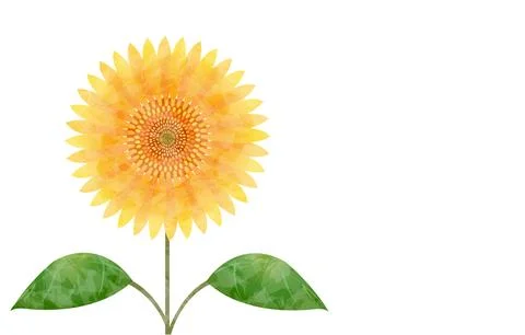 Illustration of a large sunflower 库存插图