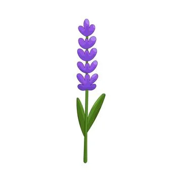 Illustration of lavender flower Stock Illustration