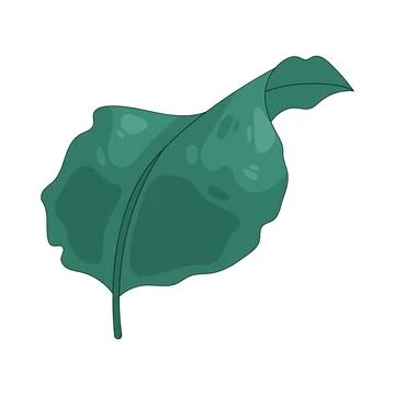 Illustration of leaf Ilustración de archivo