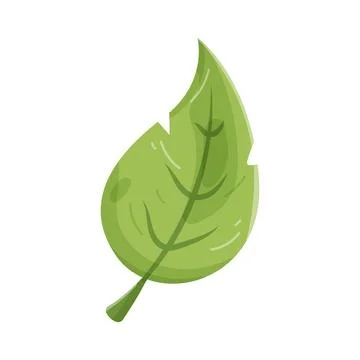 Illustration of leaf Stock Illustration