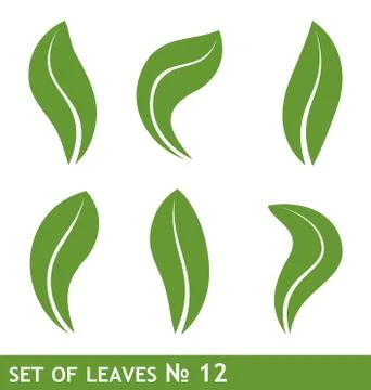 Illustration of leaves set for design Illustrazione stock