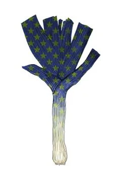 Illustration of leek with star pattern Stock Illustration