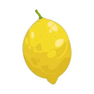 Illustration of lemon Stock Illustration