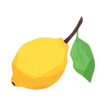 Illustration of lemon Stock Illustration