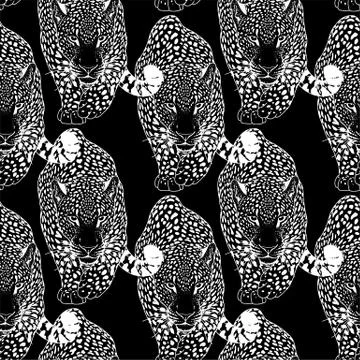 Illustration of leopard, graphic vector animal Stock Illustration