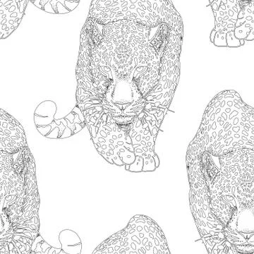 Illustration of leopard, graphic vector animal Stock Illustration