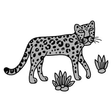 Illustration of leopard, graphic vector animal Stock Illustration