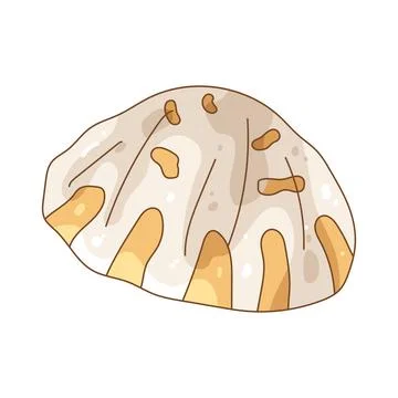 Illustration of limpet shell Stock Illustration