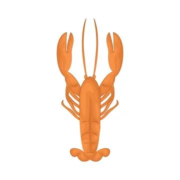 Illustration of lobster Stock Illustration