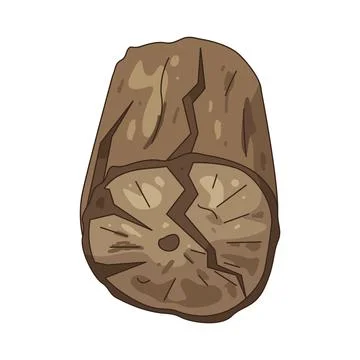 Illustration of Log Stock Illustration