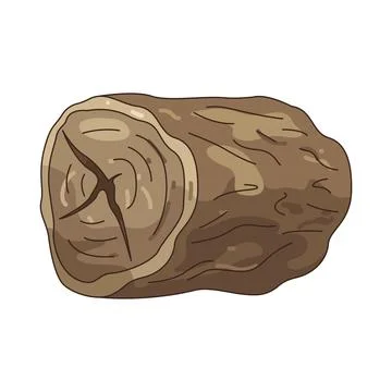 Illustration of Log Stock Illustration