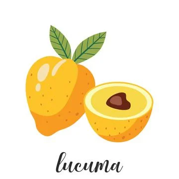 Illustration of lucuma Stock Illustration