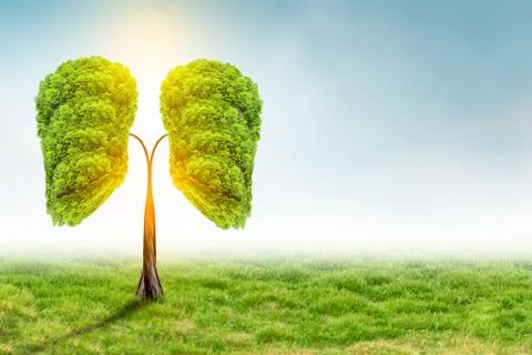 Illustration of lung tree (Environment and Medicine) Stock Illustration