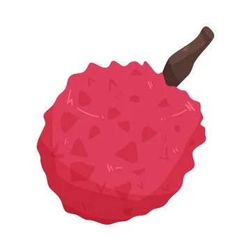 Illustration of lychee Stock Illustration