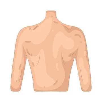 Illustration of male back Stock Illustration