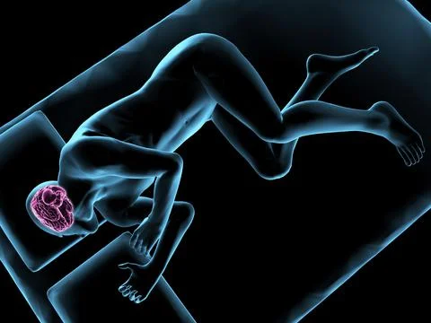 Illustration of a man sleeping with brain highlighted Stock Illustration