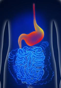 Illustration of man suffering from stomach disease. Gastroenterology Stock Illustration