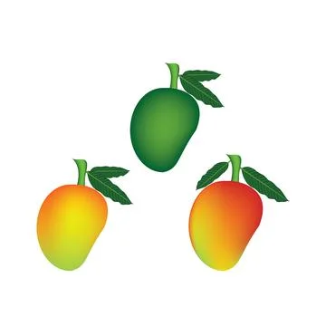 Illustration of mango Vector Design Stock-Illustration