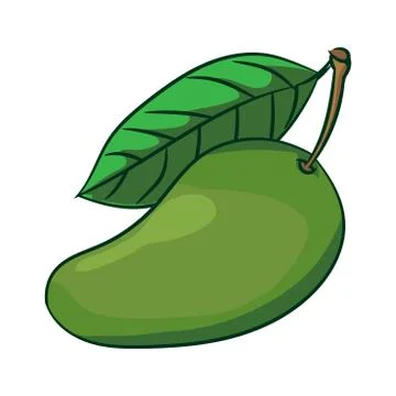 Illustration of Mango-Vector Illustration Stock Illustration