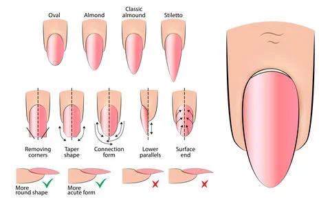 Illustration of a manual for creating an oval-shaped manicure Stock Illustration