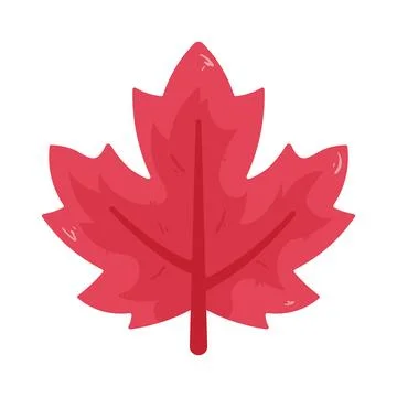 Illustration of maple leaf Stock Illustration