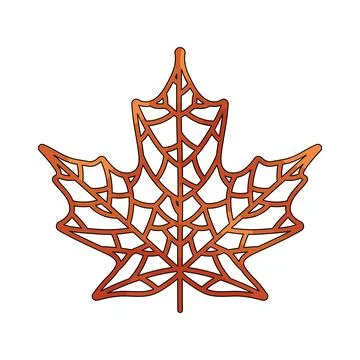Illustration of maple leaf skeleton Stock Illustration