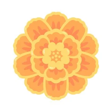 Illustration of marigold flower Stock Illustration