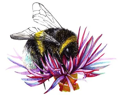 Illustration marker with black graphics fluffy yellow and black stripes bumbl Stock Illustration