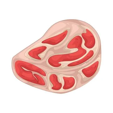 Illustration of Meat Stock Illustration