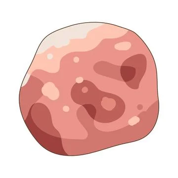Illustration of meatball Illustrazione stock