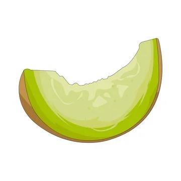 Illustration of melon Stock Illustration