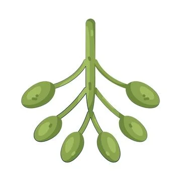 Illustration of Mistletoe Stock Illustration