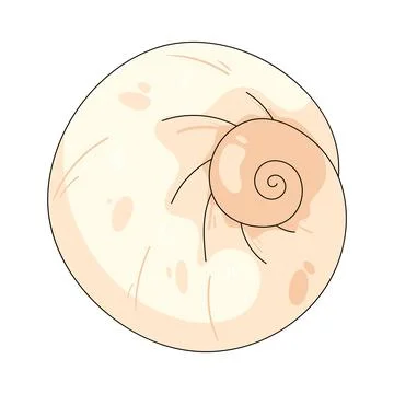 Illustration of moon seashell Stock Illustration