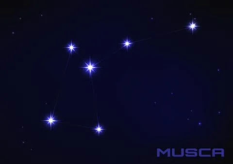 Illustration of musca constellation Stock Illustration