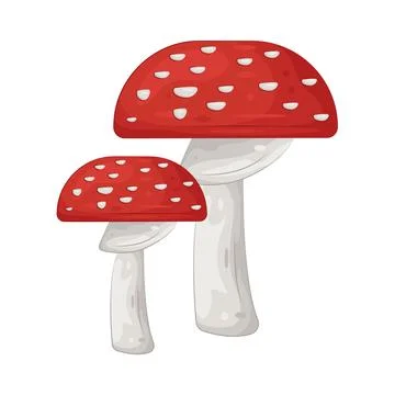 Illustration of Mushroom Stock-Illustration
